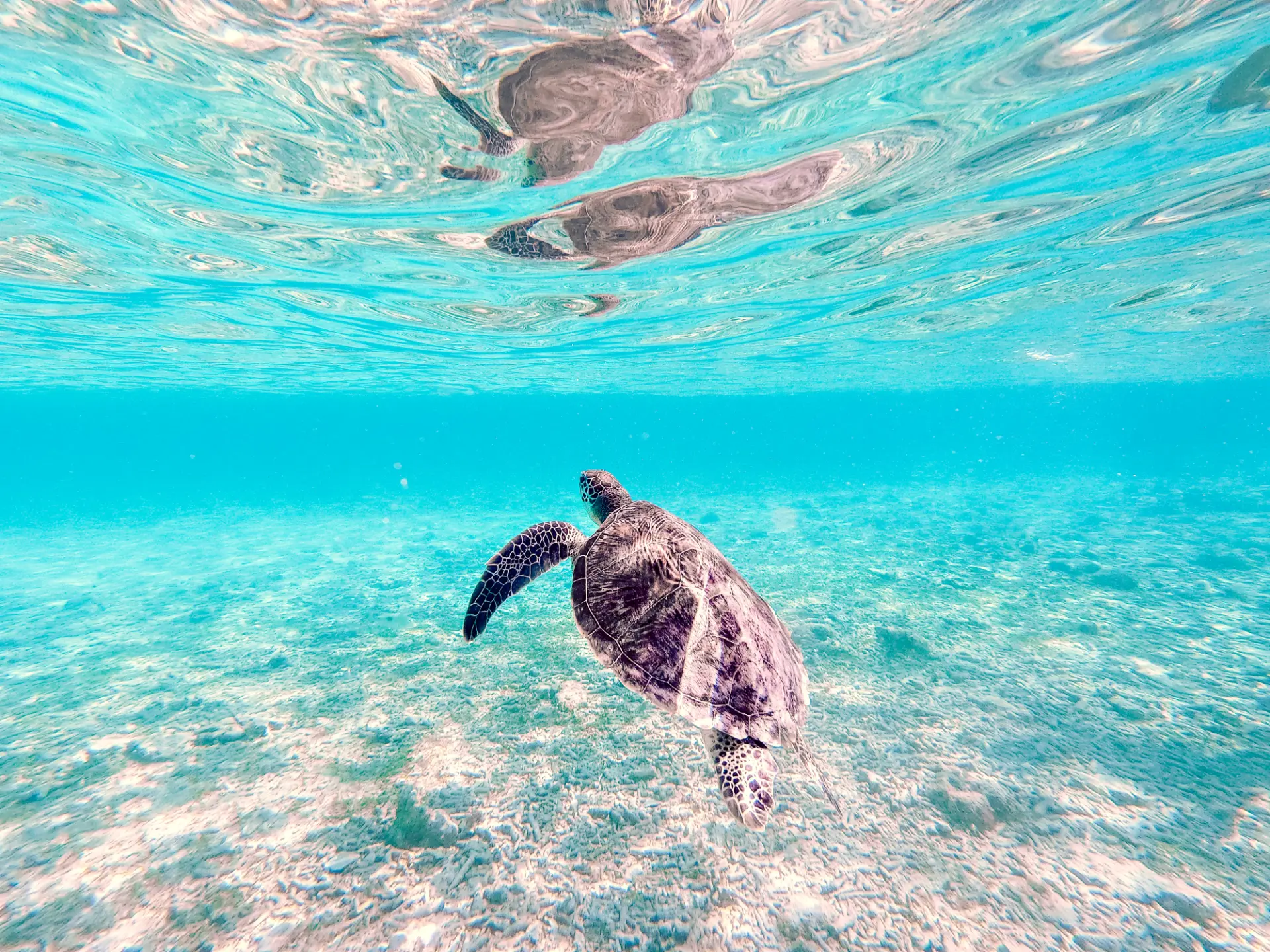 Mare e snorkeling — Gili Trawangan