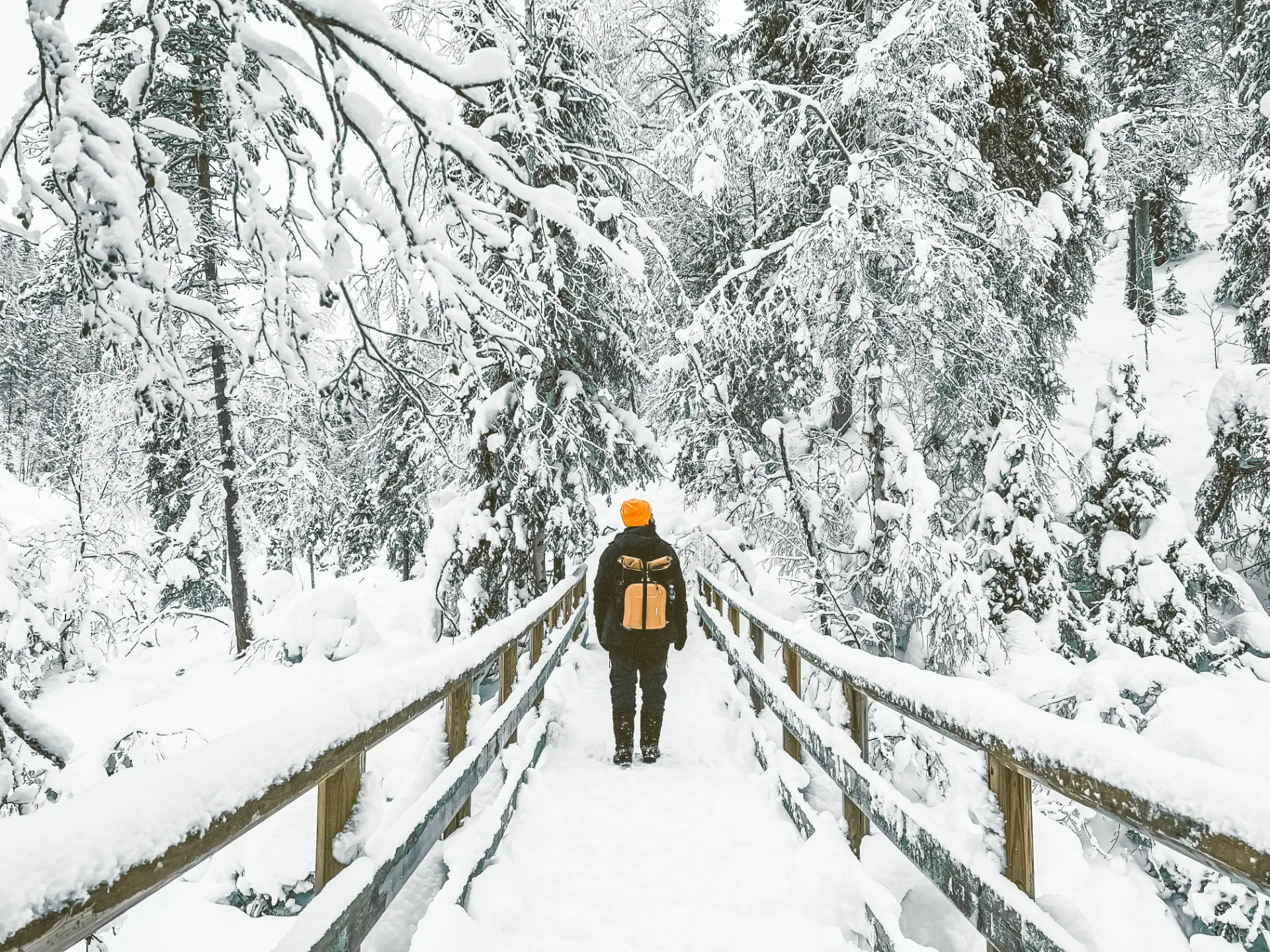 Finlandia