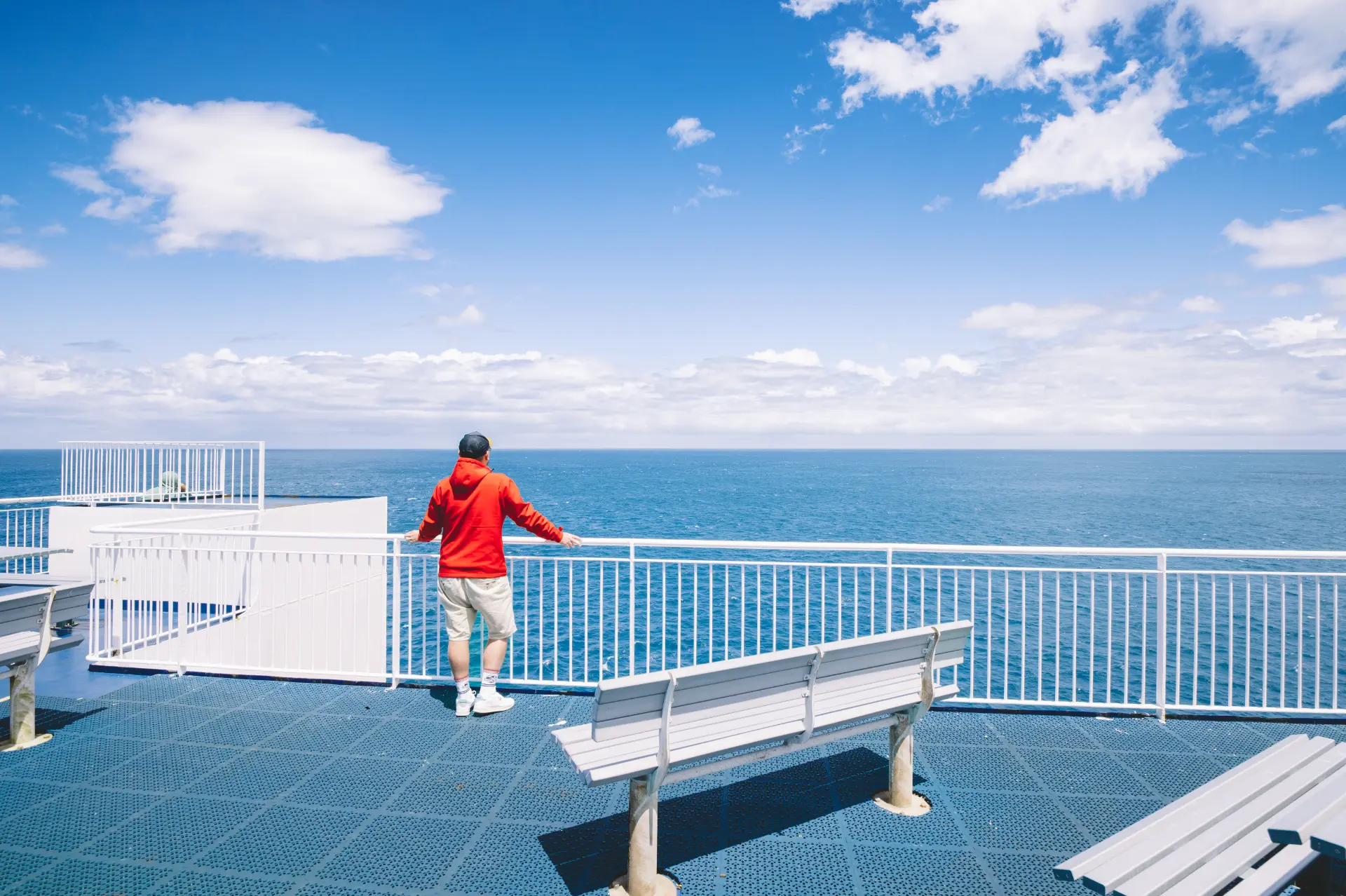 Traghetto per l'Isola del Sud — Wellington · Picton