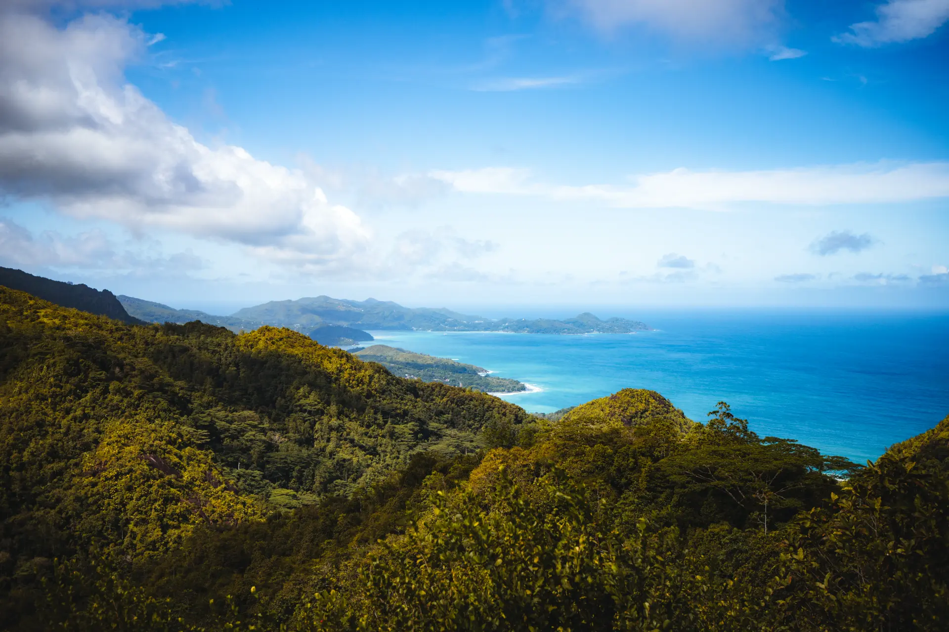 La costa di Mahé vista dall'alto tra la foresta e il mare turchese