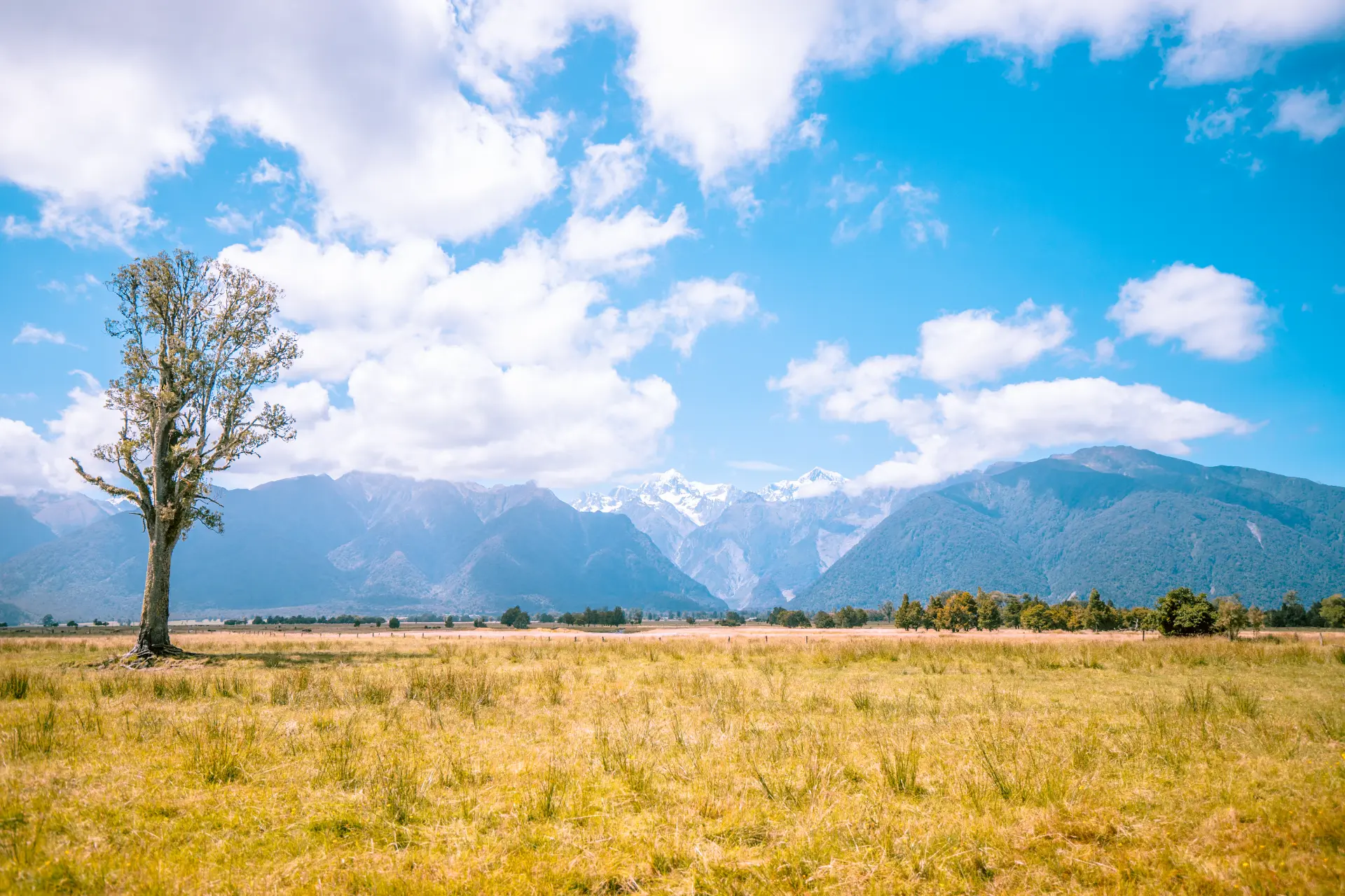 Fox Glacier e Lago Matheson — Fox Glacier · Lake Matheson