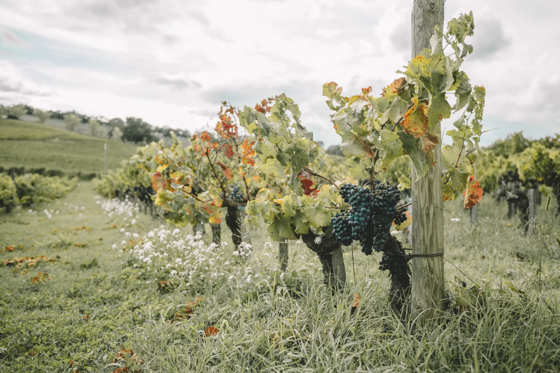 Arrivo e Montefalco — Roma · Foligno · Montefalco
