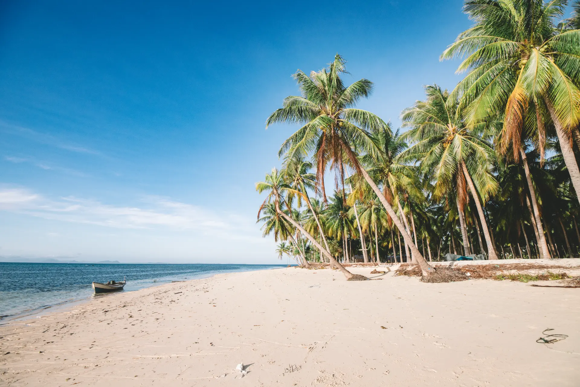 Trasferimento a Puerto Princesa — El Nido · Puerto Princesa