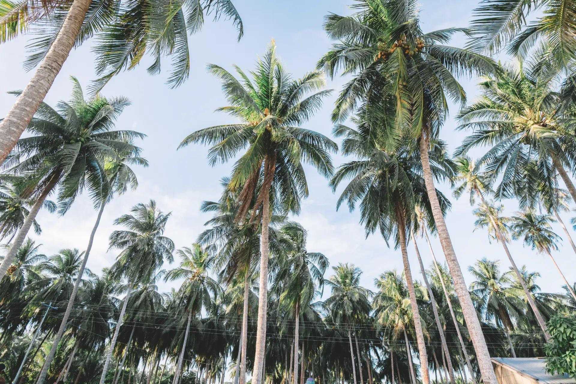 Balabac: isole deserte — Balabac