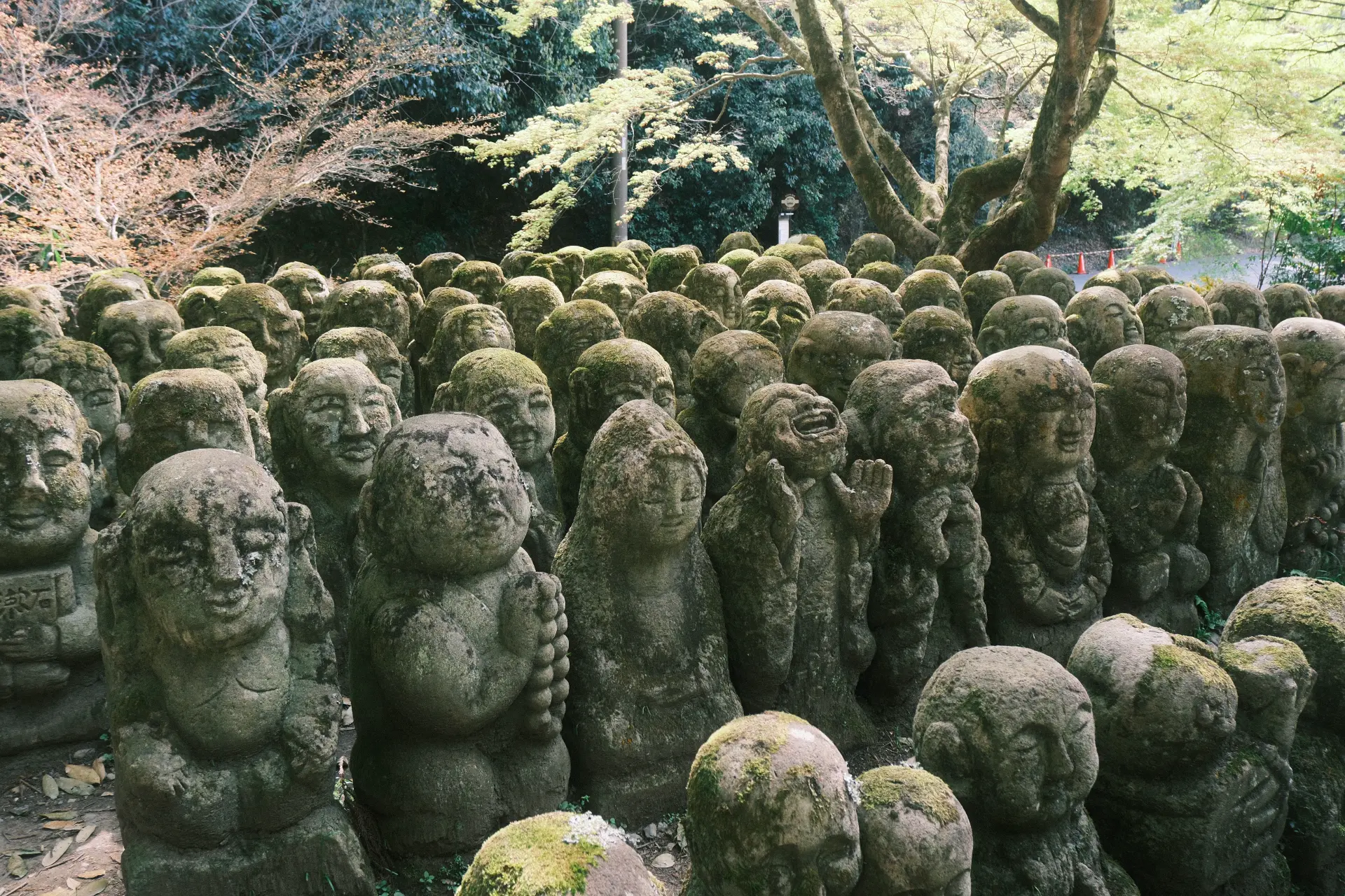 Arashiyama e ritorno a Tokyo — Arashiyama · Tokyo