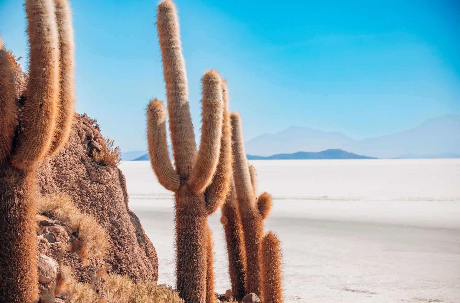 Da Uyuni verso l'Atacama: si parte — Uyuni · Altipiano boliviano