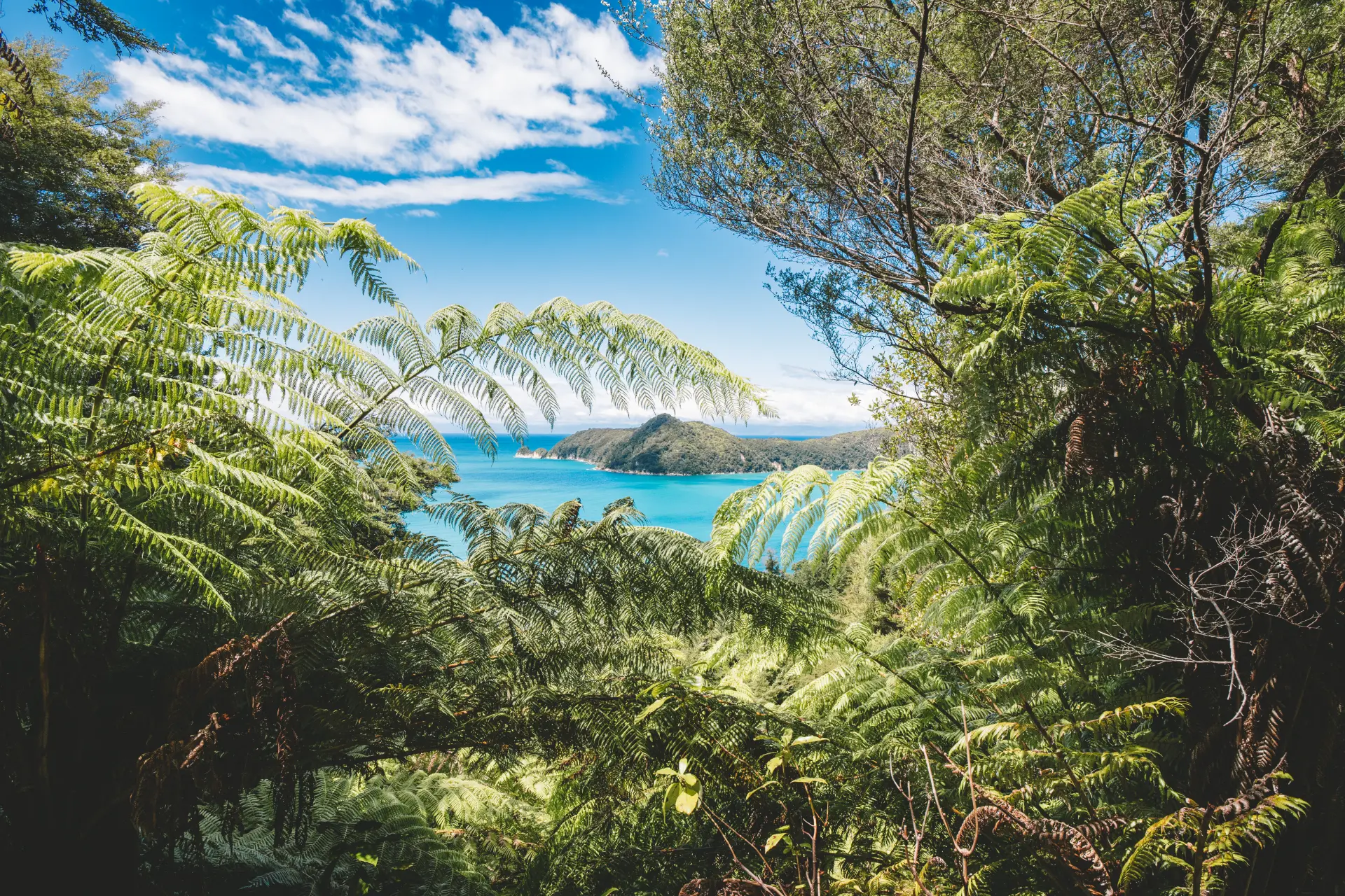 Abel Tasman — Abel Tasman National Park