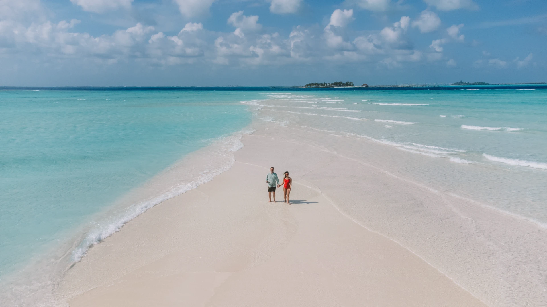 Sandbar e reef — Sandbank · Reef