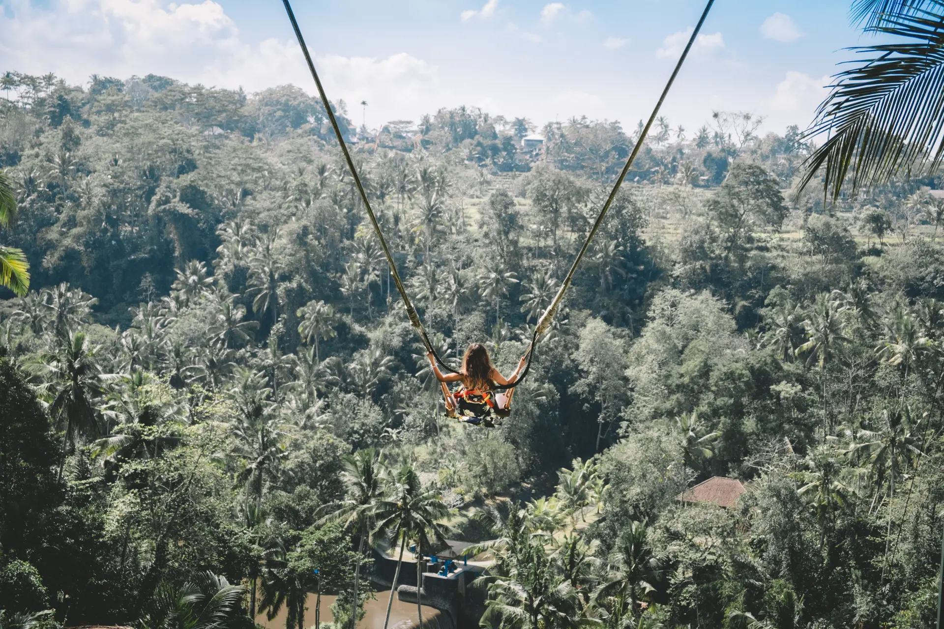 Bali Swing e Ubud — Ubud