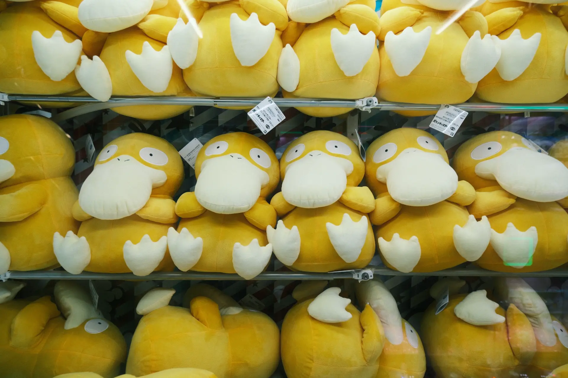 Scaffali pieni di peluche di Psyduck in un Pokémon Center