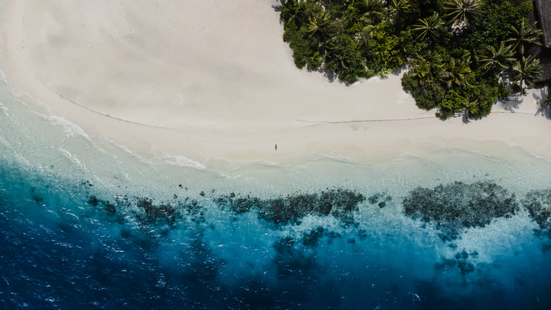 La spiaggia bianca e il reef visti dall'alto con le palme