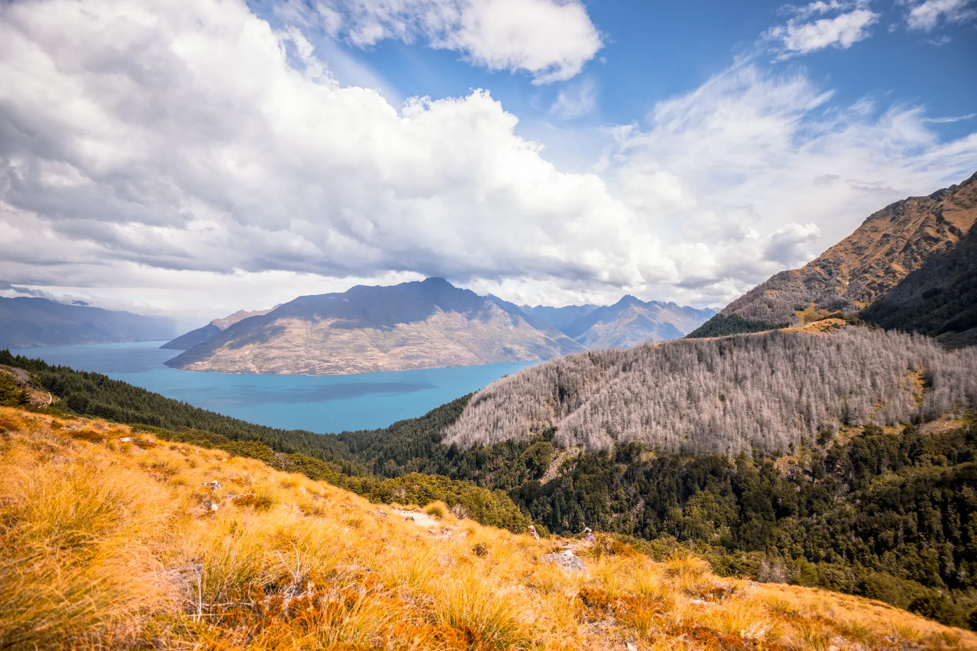 Queenstown — Queenstown · Bob's Cove
