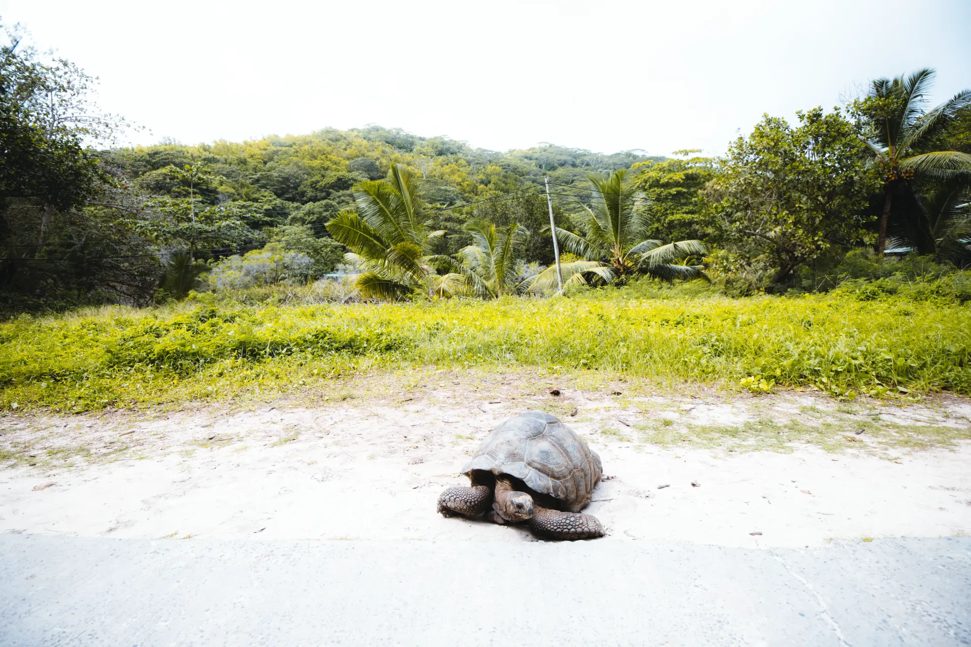 La Digue e L'Union Estate — La Digue