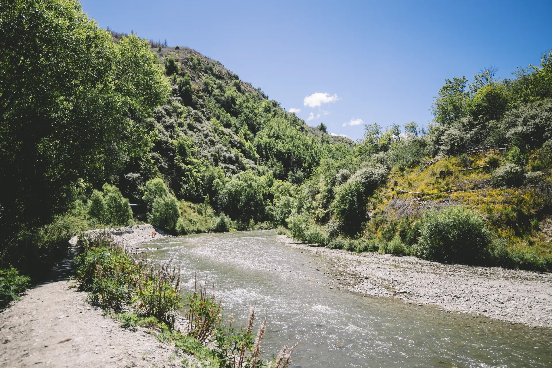 L'Arrow River, il guado di Bruinen del Signore degli Anelli